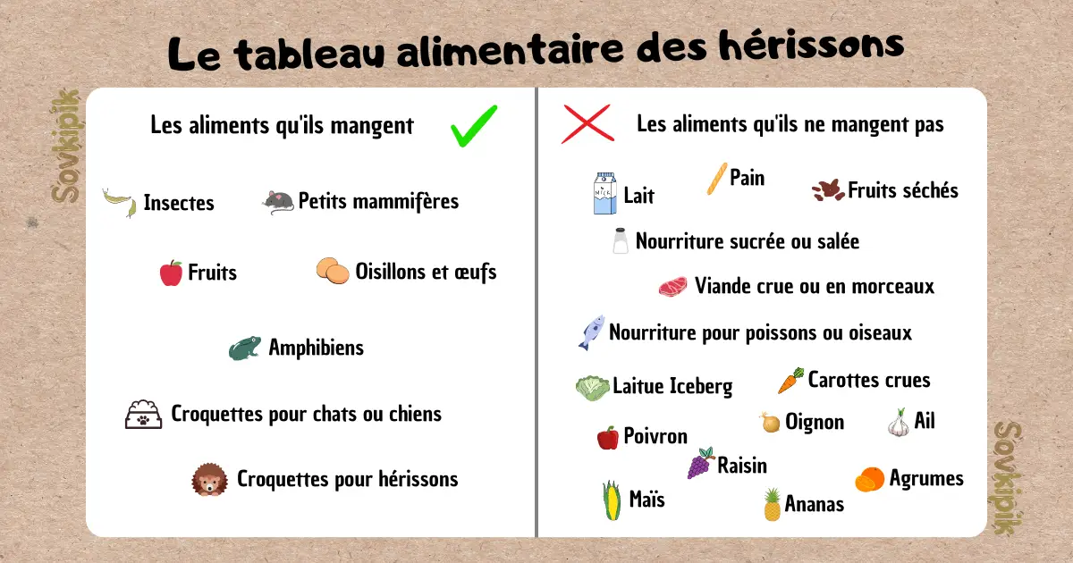 Infographie des aliments autorisés et interdits pour les hérissons