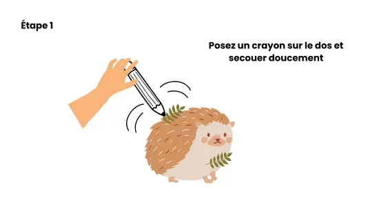 Débouler le hérisson