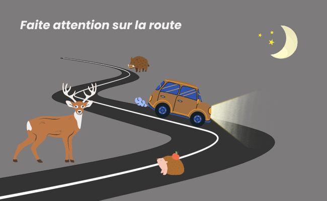 Image 3: rouler prudemment