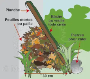 Image 1: Abri avec Planche