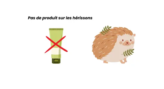 Image 2: pas de produit sur les hérissons