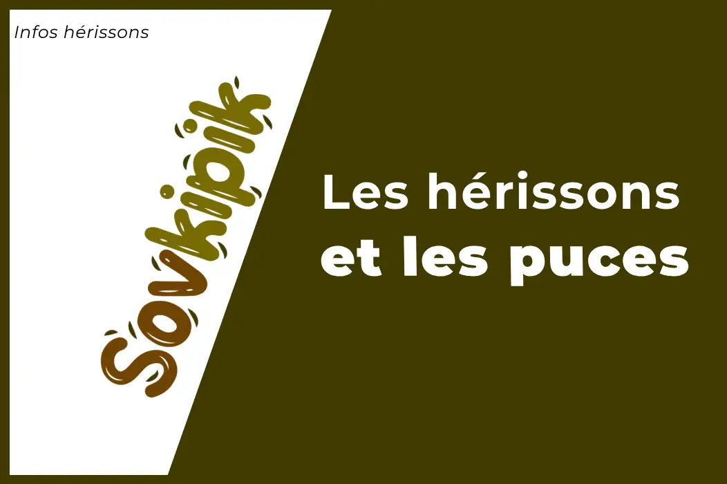 Les hérissons et les puces : Plus de secret (Guide)