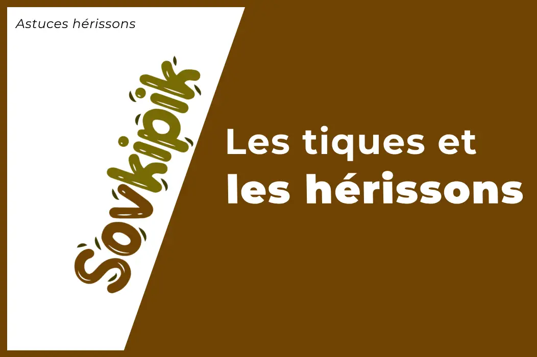 Les tiques sur les hérissons : Comment les retirer ?