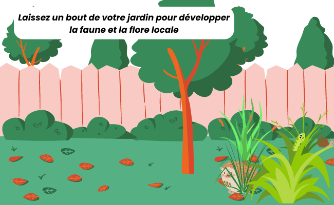 laissez la faune et la flore se développer dans votre jardin