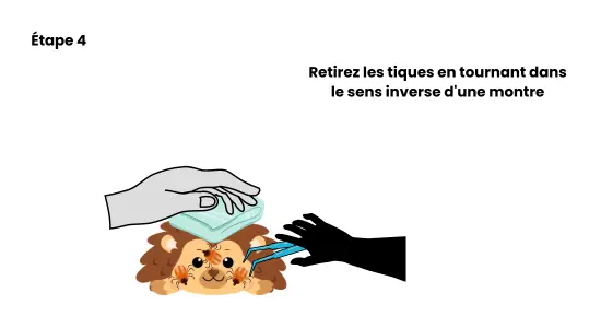 enlever les tiques du hérisson